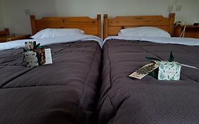 Apollon Inn